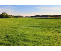  Looking for a Showroom for Sale in Uttarakhand? / 1