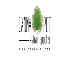 Cannapot / 1
