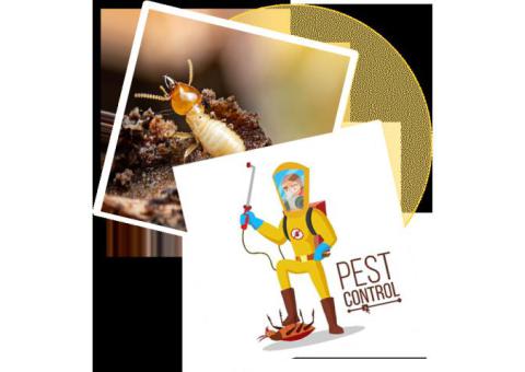 Sorna Valli Pest Control