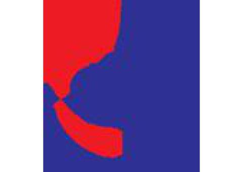 Best IT Solutions Company in Dubai