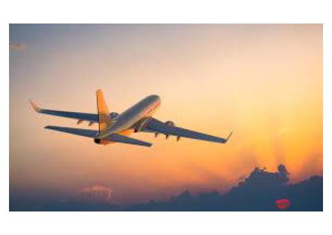 Title: Quick and Easy Flight Booking with Flighta