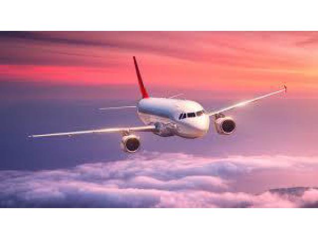 Title: Quick and Easy Flight Booking with Flighta