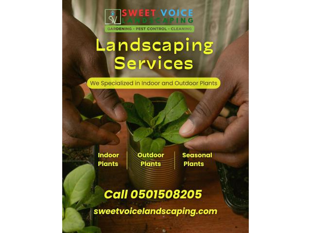 Pest Control In Abu Dhabi