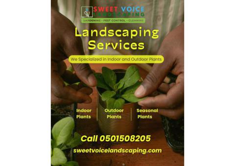 Pest Control In Abu Dhabi