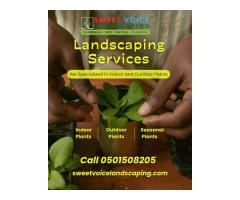 Pest Control In Abu Dhabi