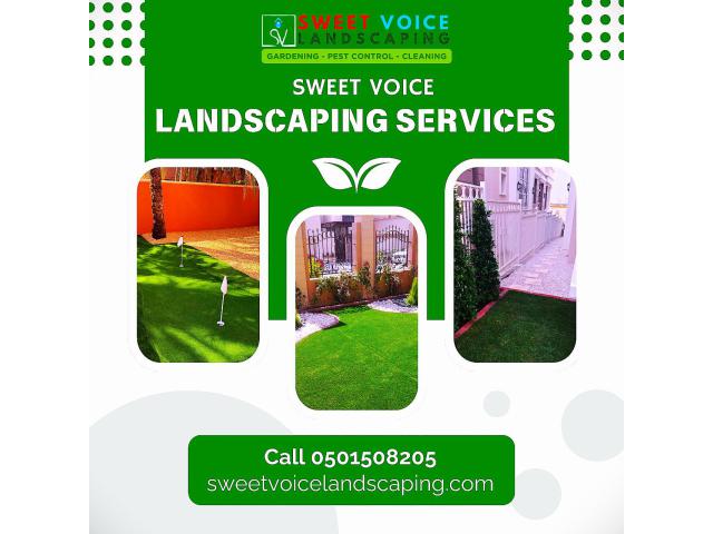 Pest Control In Abu Dhabi