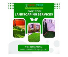 Pest Control In Abu Dhabi