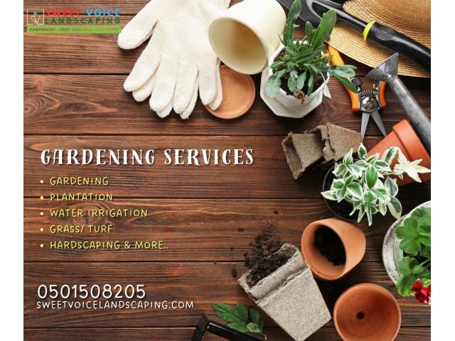 Pest Control In Abu Dhabi