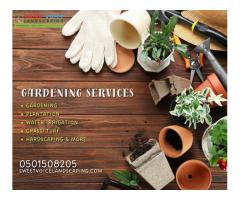 Pest Control In Abu Dhabi