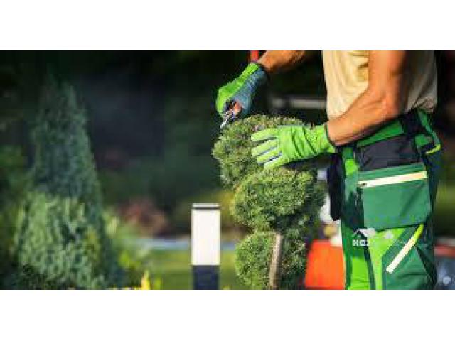 Garden Maintenance Abu Dhabi