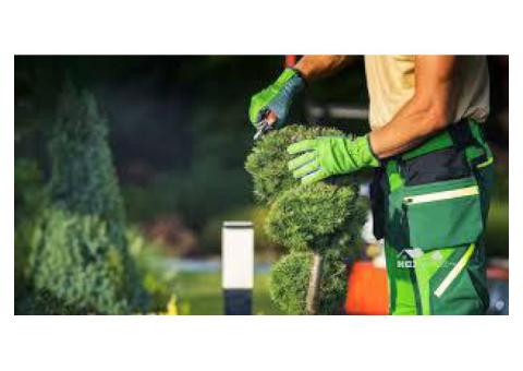 Garden Maintenance Abu Dhabi