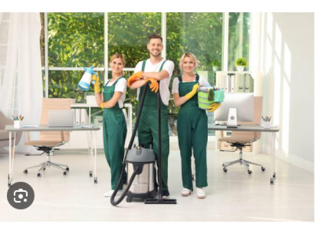 Garden Maintenance Abu Dhabi