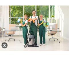 Garden Maintenance Abu Dhabi