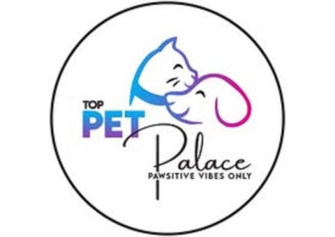 Top Pet Palace | Powerful Picks in Food & Toys