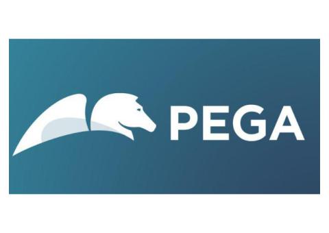 Pega Training in Chennai