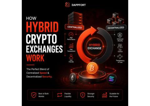 Understanding Hybrid Crypto Exchanges Made Simple