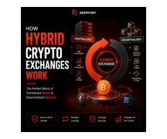 Understanding Hybrid Crypto Exchanges Made Simple