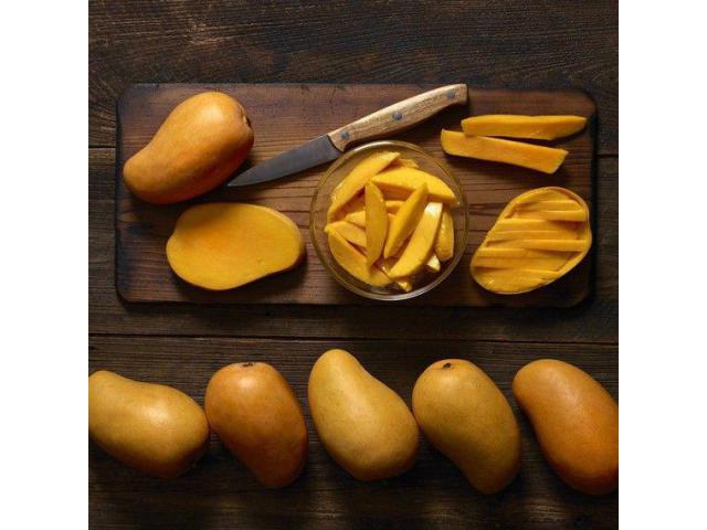 Leading Dry Mango Companies in Pakistan – Fresh & Natural