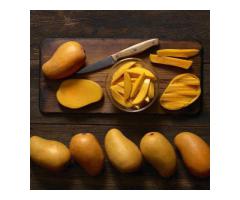 Leading Dry Mango Companies in Pakistan – Fresh & Natural