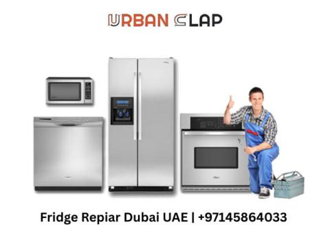 Complete Fridge Maintenance and Repair in Dubai