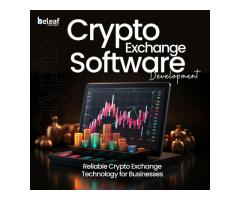 Customizable Crypto Exchange Systems for Businesses