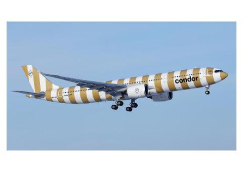 Condor Cancellation Policy: Refunds, Rules & Fees
