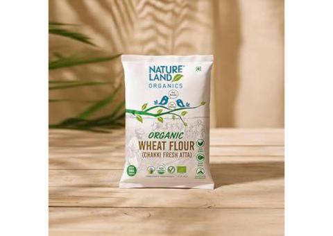 Buy Organic Wheat Maida – 100% Pure & Natural | Natureland Organics