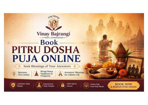 Book Pitru Dosha Puja Online for Family Peace and Guidance