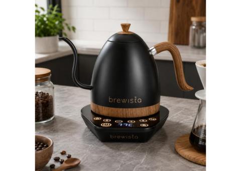 Buy Brewista Artisan Variable Gooseneck Kettle