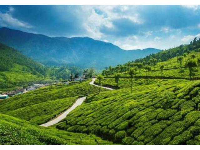 Kerala Tour Packages | Kerala Backwaters, Tours & Holidays