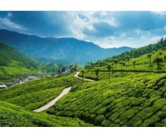 Kerala Tour Packages | Kerala Backwaters, Tours & Holidays