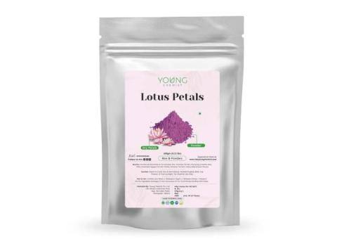 Lotus Petals