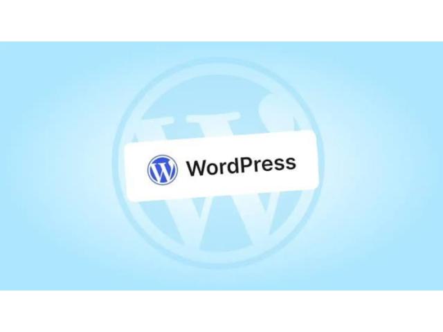 Invoidea Provides the Best WordPress Development Services in India
