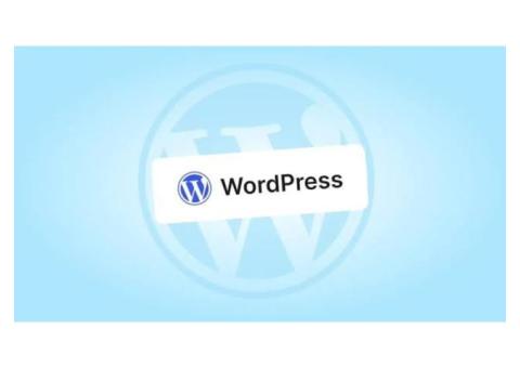 Invoidea Provides the Best WordPress Development Services in India