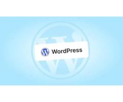 Invoidea Provides the Best WordPress Development Services in India