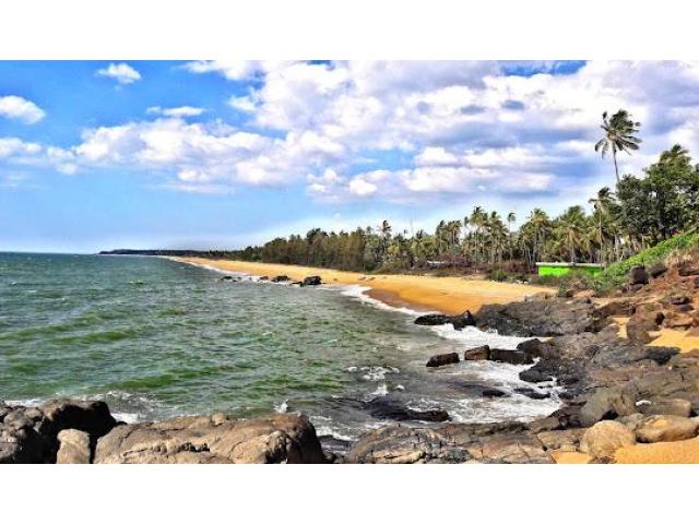 Best Time to Visit Kerala – Plan Your Perfect Kerala Holiday