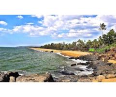 Best Time to Visit Kerala – Plan Your Perfect Kerala Holiday