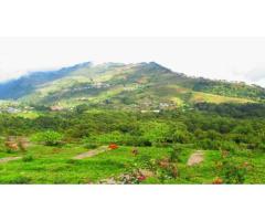 Best Time to Visit Kerala – Plan Your Perfect Kerala Holiday