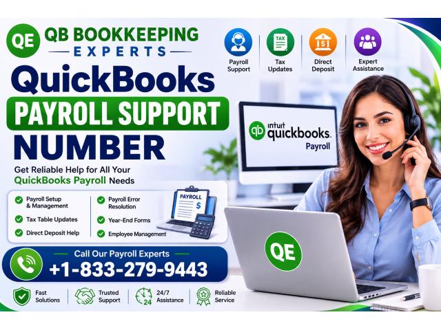 How to Contact QuickBooks Payroll Support Number: Step-by-Step Guide