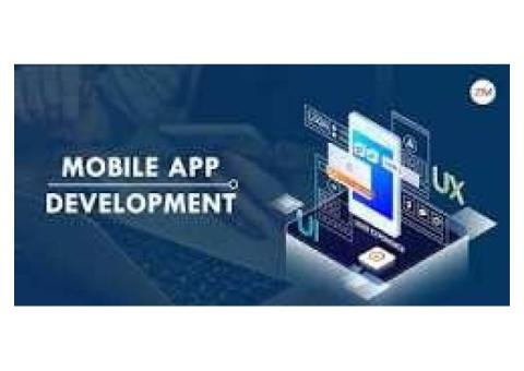 Invoidea is a Best Healthcare Web Development Company in India