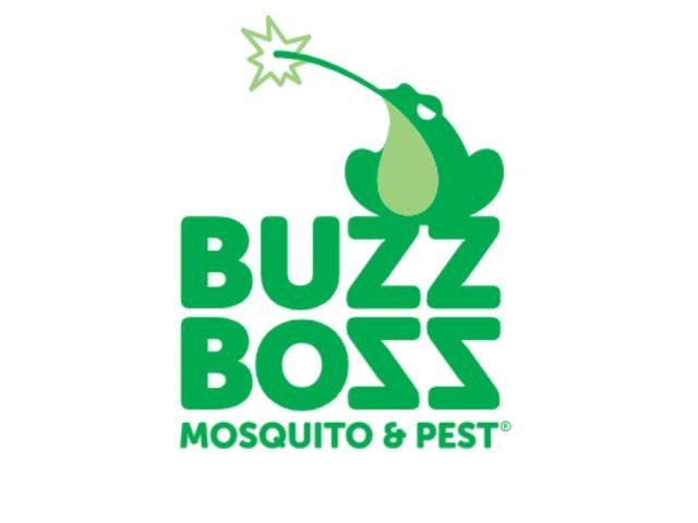 Buzz Boss