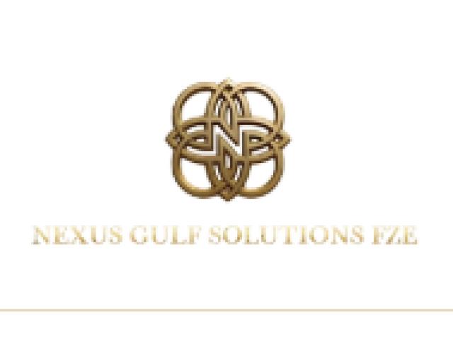 SME Loan Dubai: Digitz Technologies