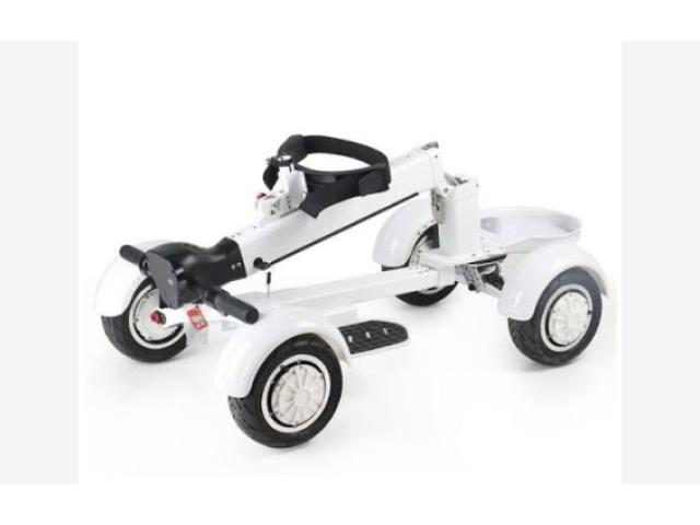 EcoRider G2 E7-1 4Wheel Foldable Golf Electric Skateboard