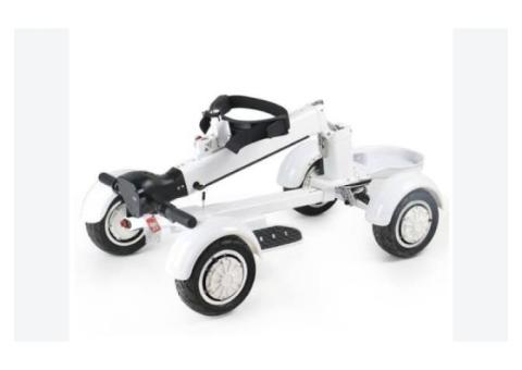 EcoRider G2 E7-1 4Wheel Foldable Golf Electric Skateboard