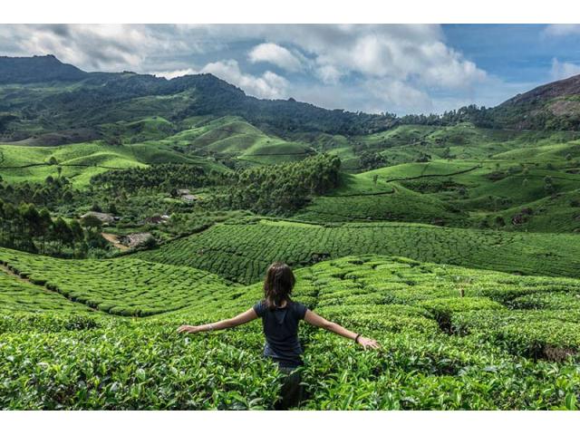 Plan Your Kerala Honeymoon Tour