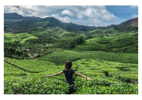 Plan Your Kerala Honeymoon Tour