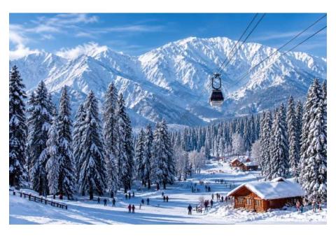 Escape to Snow! Premium Kashmir Winter & Gulmarg Skiing Tour Packages (2026-2027)