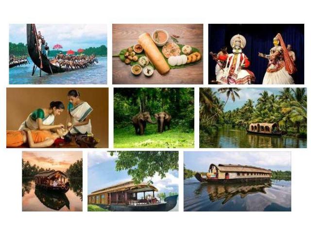 Things to Do in Kerala – Backwaters, Hill Stations & Culture