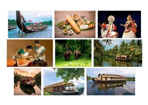 Things to Do in Kerala – Backwaters, Hill Stations & Culture