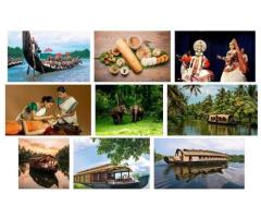 Things to Do in Kerala – Backwaters, Hill Stations & Culture